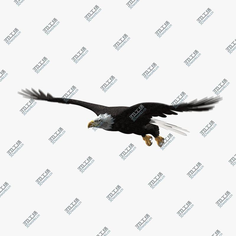 images/goods_img/20210113/American Bald Eagle (ANIMATED)/2.jpg